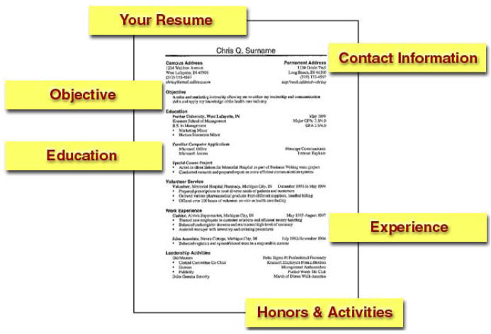 student resume layout. Resume+layout+format